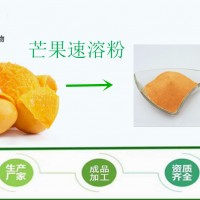 芒果凍干粉 速溶 芒果 噴霧干燥 1kg起批