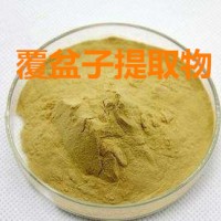 覆盆子提取物 藥食同源 覆盆子粉  1公斤起訂