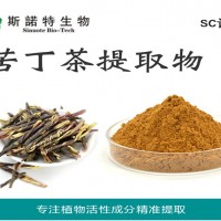 苦丁茶提取物 木樨科粗壯女貞苦丁茶提取物