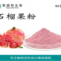 石榴粉 石榴果粉 石榴果汁粉廠家