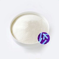 羅伊氏乳桿菌代工定制功能型益生菌凍干粉生產食品配料