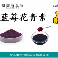藍莓花青素25% 藍莓提取物 藍莓粉