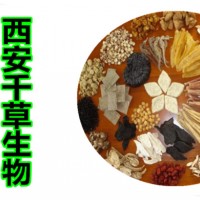 雞蛋花提取物 供應(yīng)植物提取物供應(yīng)濃縮純浸膏
