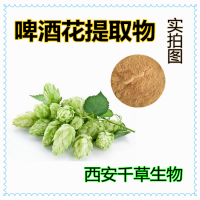 水溶性植物提取物啤酒花浸膏粉 供應啤酒花濃縮原液
