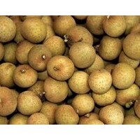 龍眼肉提取物應用，龍眼肉提取物QS廠家