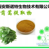 茼蒿提取物  茼蒿原料提取 斯諾特生物 發(fā)貨快