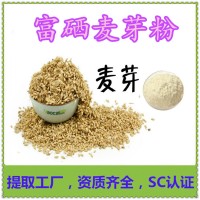 富硒麥芽粉 食品原料