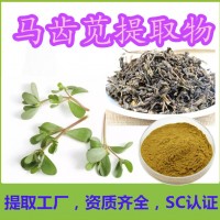 馬齒莧提取物 食品原料 馬齒莧粉