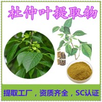 杜仲提取物 杜仲綠原酸10% 健康養(yǎng)殖