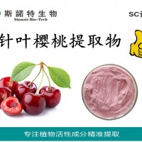 針葉櫻桃提取物VC17% 針葉櫻桃果粉