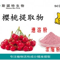 櫻桃提取物 櫻桃濃縮粉 櫻桃速溶粉