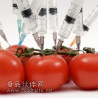 轉基因番茄檢測,轉基因西紅柿檢測