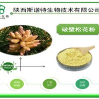 破壁松花粉 松花孢子粉99% 保健原料 斯諾特生物