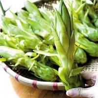 霸王花檢測報告,霸王花農藥殘留檢測機構,霸王花重金屬檢測項目