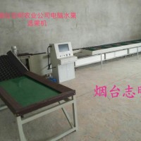 山東煙臺(tái)志明牌多功能電腦分選分級(jí)機(jī)廠家優(yōu)惠