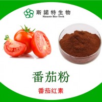 番茄粉 番茄原粉 番茄濃縮粉