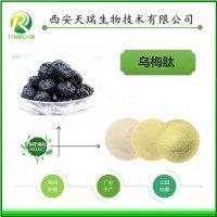 烏梅肽 小分子蛋白 食品資質 可代工