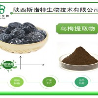烏梅提取物 濃縮粉 水溶 酸梅粉常用原料 斯諾特集團 包郵