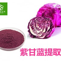 紫甘藍速溶粉 99%全水溶 紫甘藍提取物 工廠店包郵