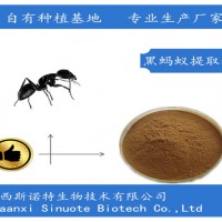 黑螞蟻提取物 黑螞蟻粉99%活性 擬黑多刺蟻提取物