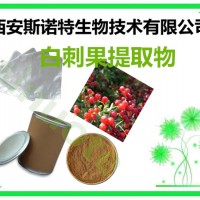 白刺果多糖 30% 白刺果提取物 多種規格供應