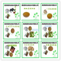 白刺果浸膏粉 10:1 20:1等 產品 多種規格