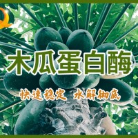 嫩肉粉松肉粉商用腌料豬肉牛肉木瓜蛋白酶復(fù)合調(diào)味料