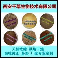 刺桿菜提取物藥食同源 刺桿菜提取物刺桿菜萃取原液