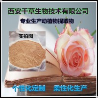木瓜水溶粉供應(yīng)天然提取物定做木瓜實濃縮流浸膏