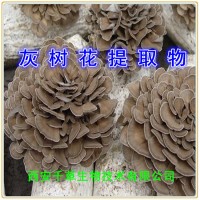 灰樹花提取物灰樹花濃縮粉 供應灰樹花提取物流浸膏干膏