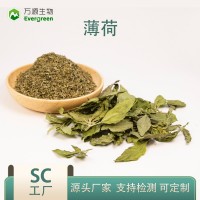 薄荷提取物 陜西萬源生物供應薄荷粉