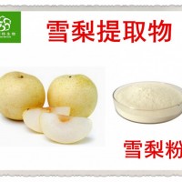 雪梨粉 雪梨汁粉 噴霧干燥 白色粉末 99%水溶 批發價