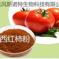 番茄粉 番茄提取物 番茄紅素 廠家現貨直銷 西紅柿粉