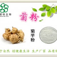 菊粉 菊芋粉 95%含量 天然食品添加劑 斯諾特廠家