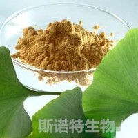 銀杏葉提取物銀杏提取物黃酮24.0%銀杏葉粉銀杏粉藥食同源