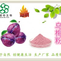 ：烏梅提取物 烏梅粉 固體飲料原料 包郵