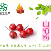 山楂粉 山楂果粉 山楂速溶精細粉 生產廠家 原料
