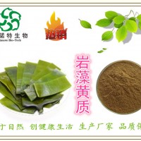 巖藻黃質 海帶提取物 海帶多糖 原料粉 當天發貨