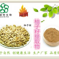 柚子籽提取物 西柚核提取物 生產廠家 推薦原料粉
