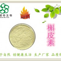 槲皮素98% 生產廠家供應