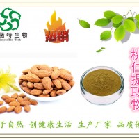 廠家：桃仁提取物 山桃仁提取物 10:1 藥食同源