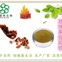 刺玫果提取物 玫瑰果提取物 10:1 野薔薇提取物