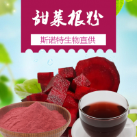 甜菜根粉 全水溶紅甜菜濃縮粉