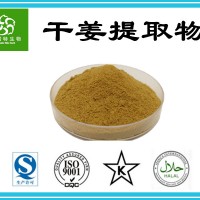 干姜提取物10:1 干生姜濃縮粉 白姜提取物 專業廠家好原料