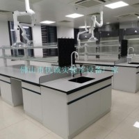 潔凈實驗室用鋼木實驗臺鋼木實驗操作臺全鋼結構通風柜廠家