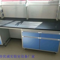 鋼木臺式通風柜器皿柜定做儀器臺試劑架生產批發實驗臺廠家
