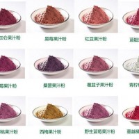 火龍果粉 99% 速溶火龍果果粉 火龍果汁粉 廠家包郵