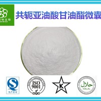 共軛亞油酯微囊粉60% 共軛亞油酸粉 廠家包郵