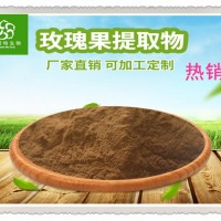 玫瑰果提取物 濃縮物 富含玫瑰果多酚 固體飲料佳選