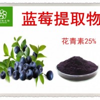 藍莓粉 速溶藍莓果汁粉 花青素25% 食品級SC認證